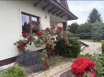 dom wolnostojący, 5 pokoi Koczargi Stare. Zdjęcie 1