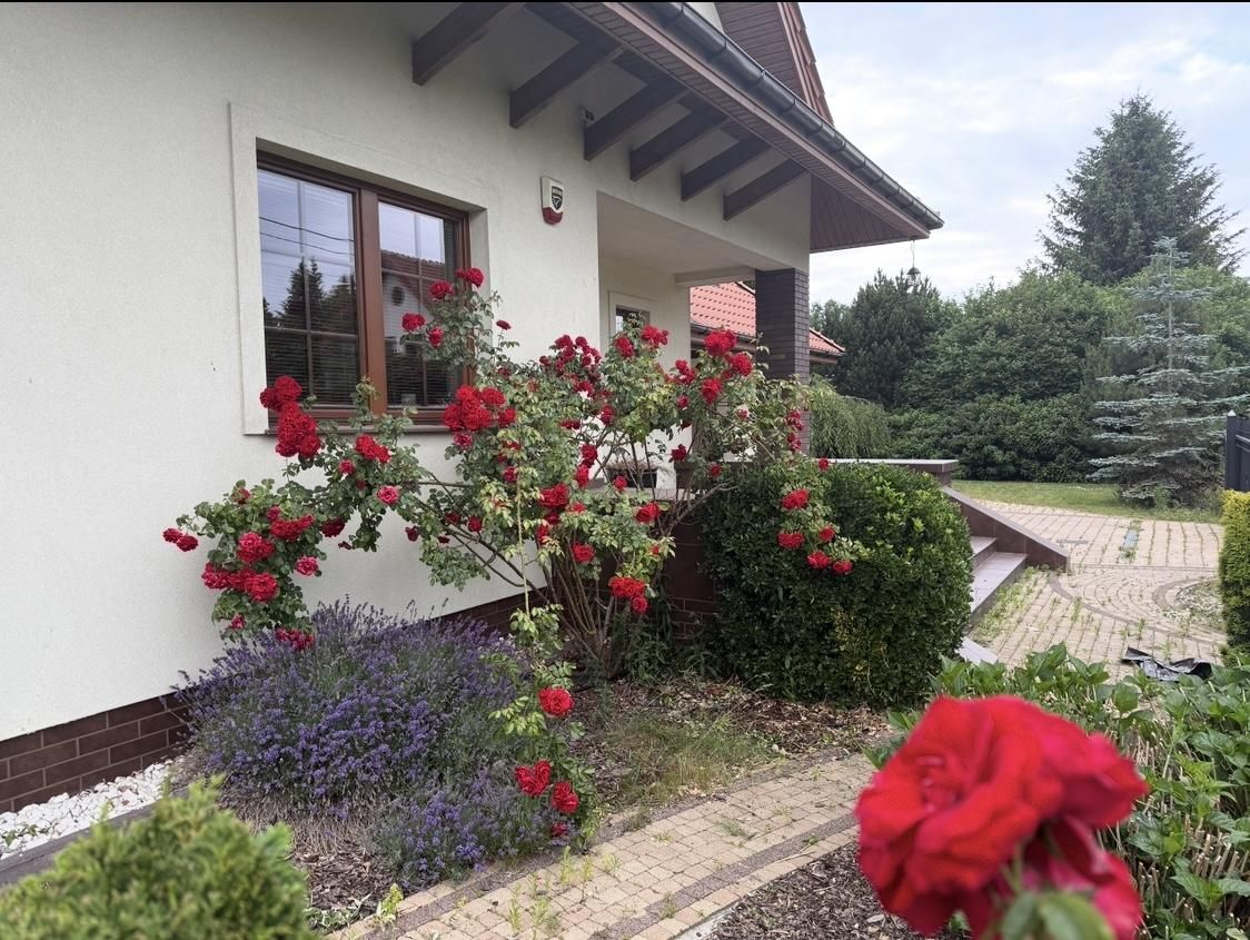 dom wolnostojący, 5 pokoi Koczargi Stare. Zdjęcie 2