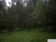 Działka rekreacyjna Kuźmina. Zdjęcie 3