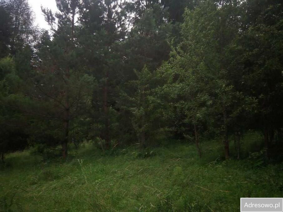 Działka rekreacyjna Kuźmina. Zdjęcie 4