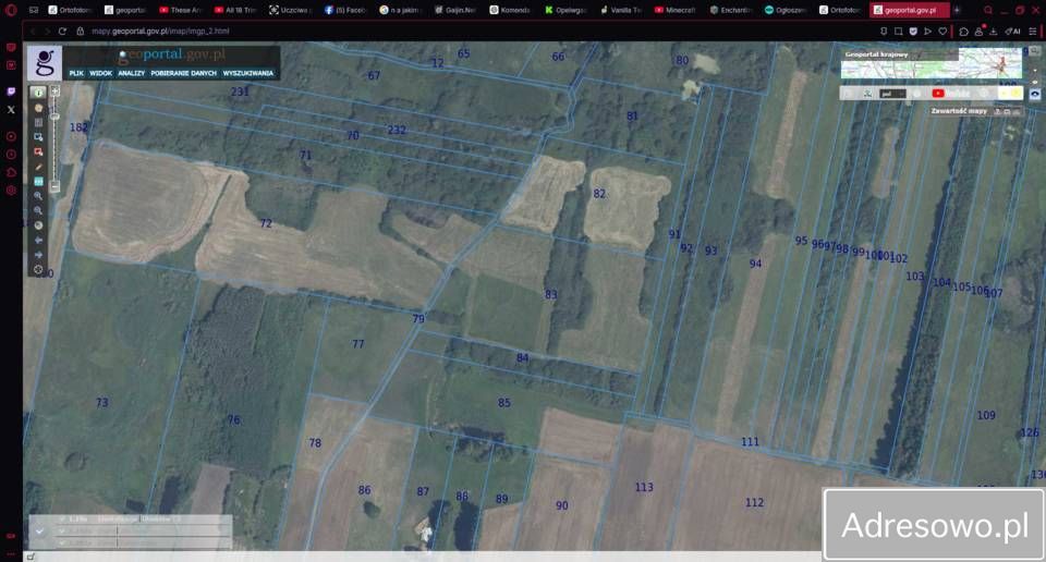 Działka rolna Terenin. Zdjęcie 1