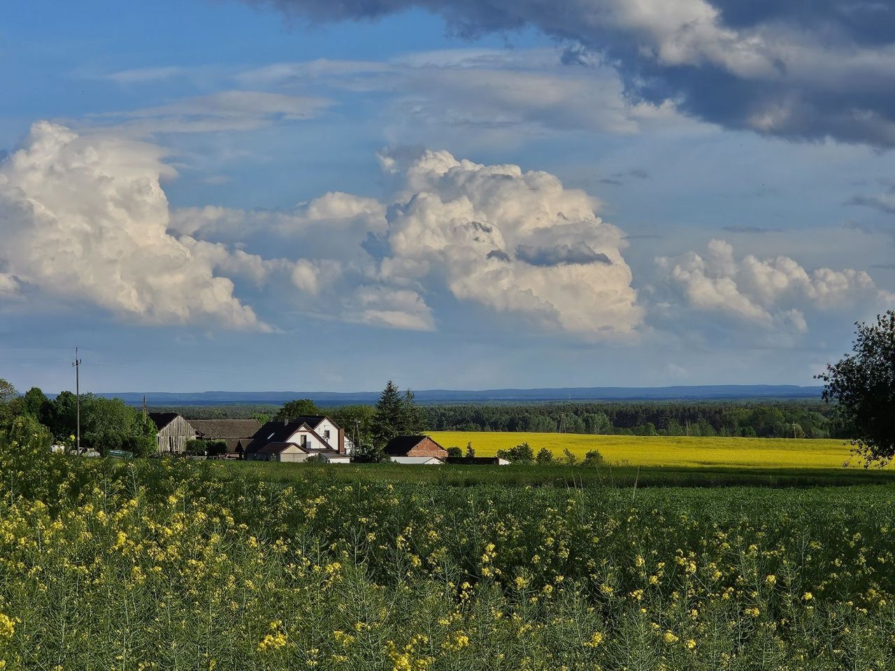 Działka budowlana Trzebicko. Zdjęcie 4