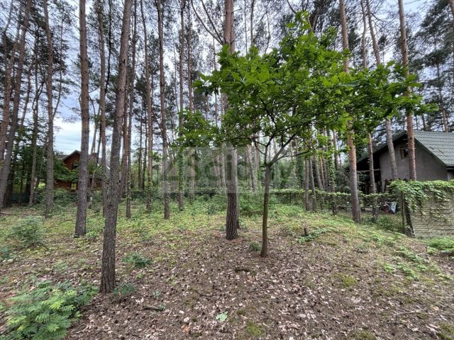 Działka budowlana Stare Załubice. Zdjęcie 5