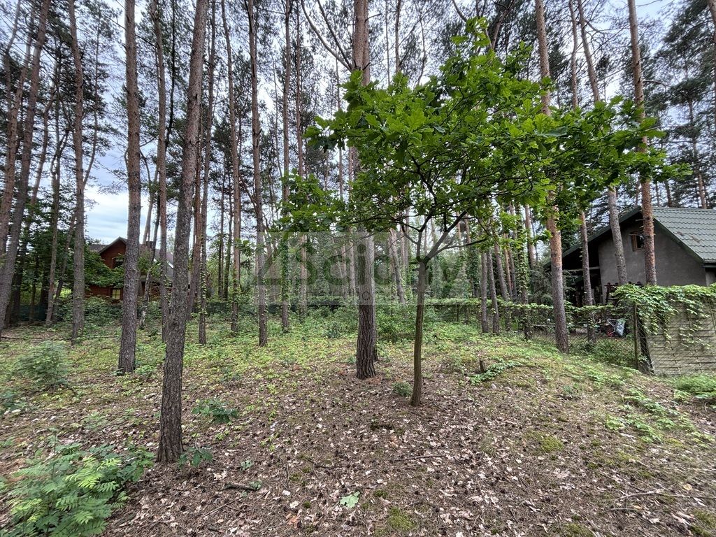 Działka budowlana Stare Załubice. Zdjęcie 5