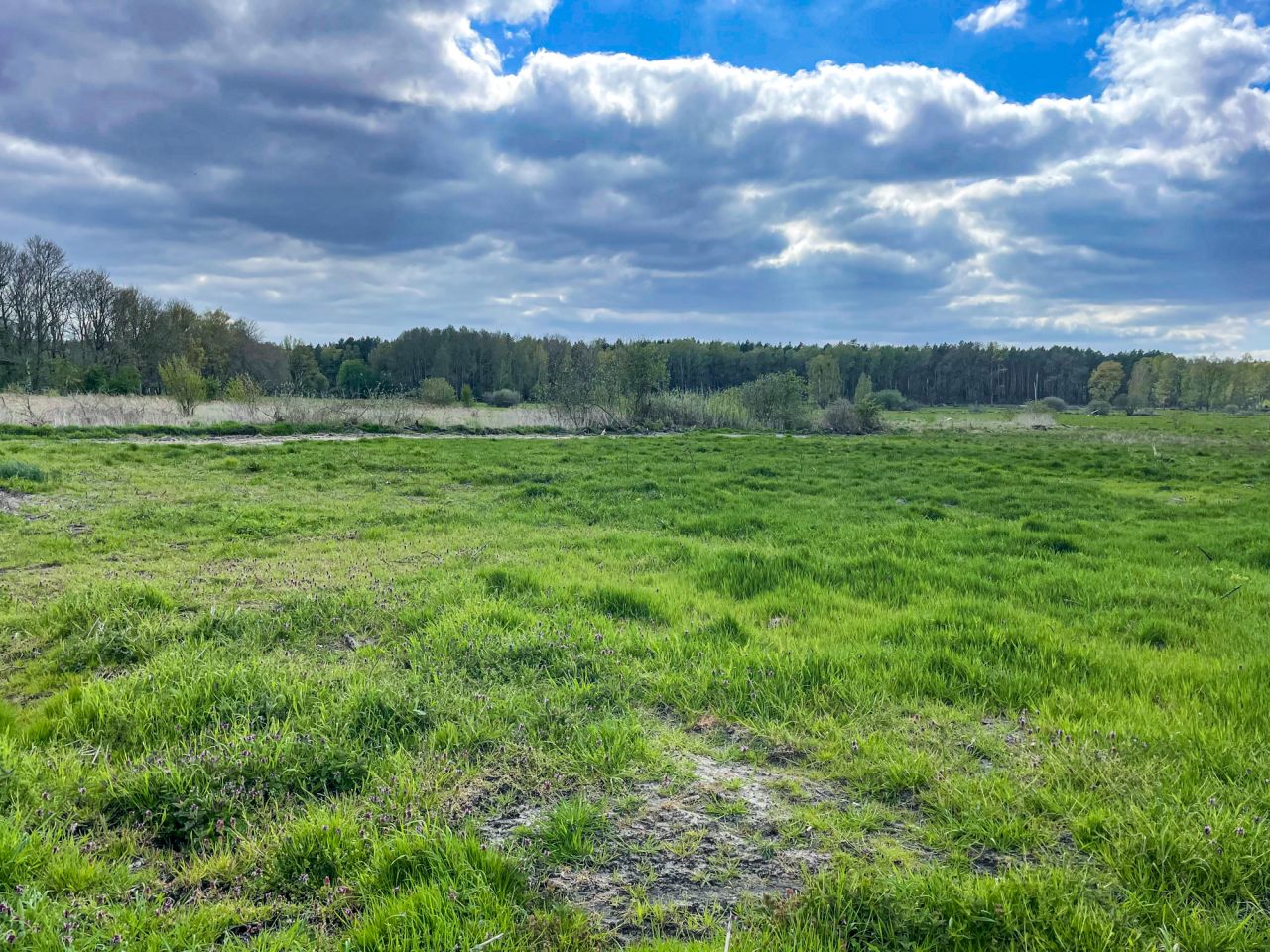 Działka rolno-budowlana Warnołęka. Zdjęcie 15