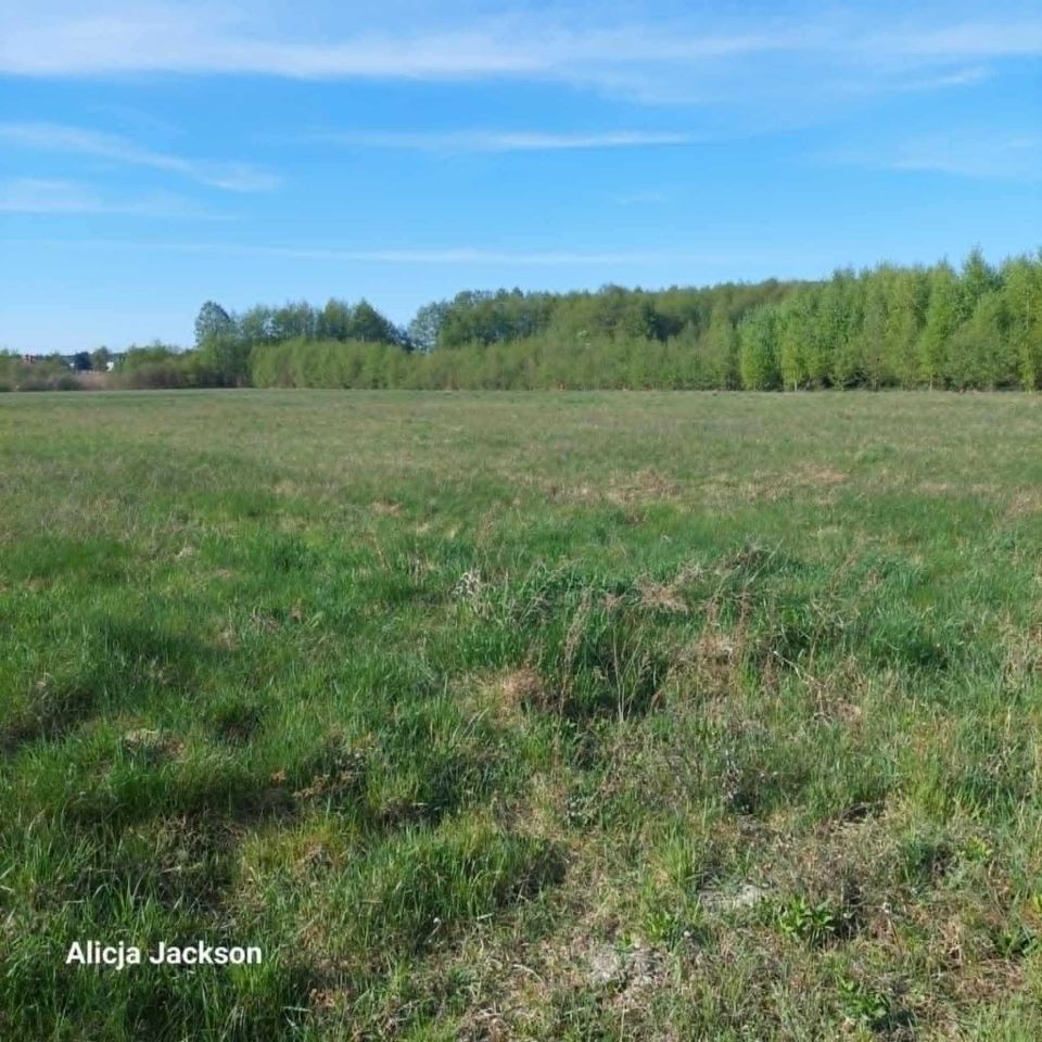 Działka budowlana Skępe