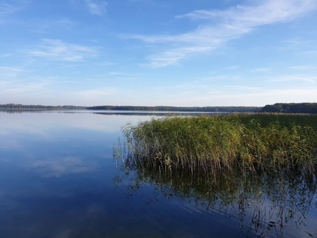 Działka budowlana Oświno. Zdjęcie 6