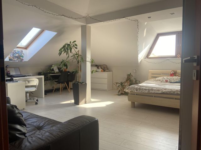 dom wolnostojący, 5 pokoi Domiechowice. Zdjęcie 1