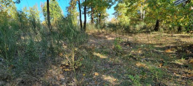 Działka budowlana Żółwin. Zdjęcie 2