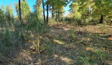 Działka budowlana Żółwin