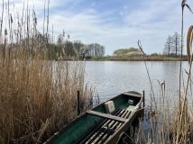 Działka rolna Piwonin. Zdjęcie 4