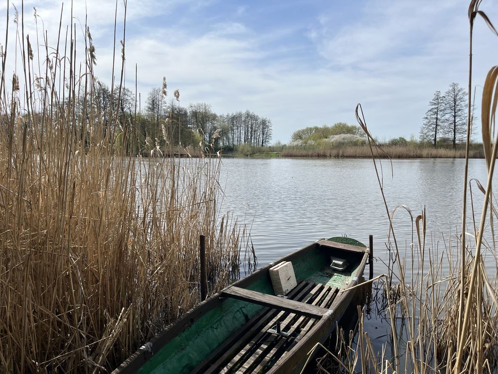 Działka rolna Piwonin. Zdjęcie 5