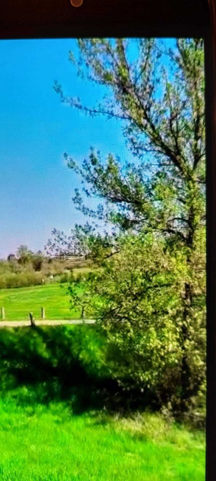 dom wolnostojący, 2 pokoje Skoki. Zdjęcie 6