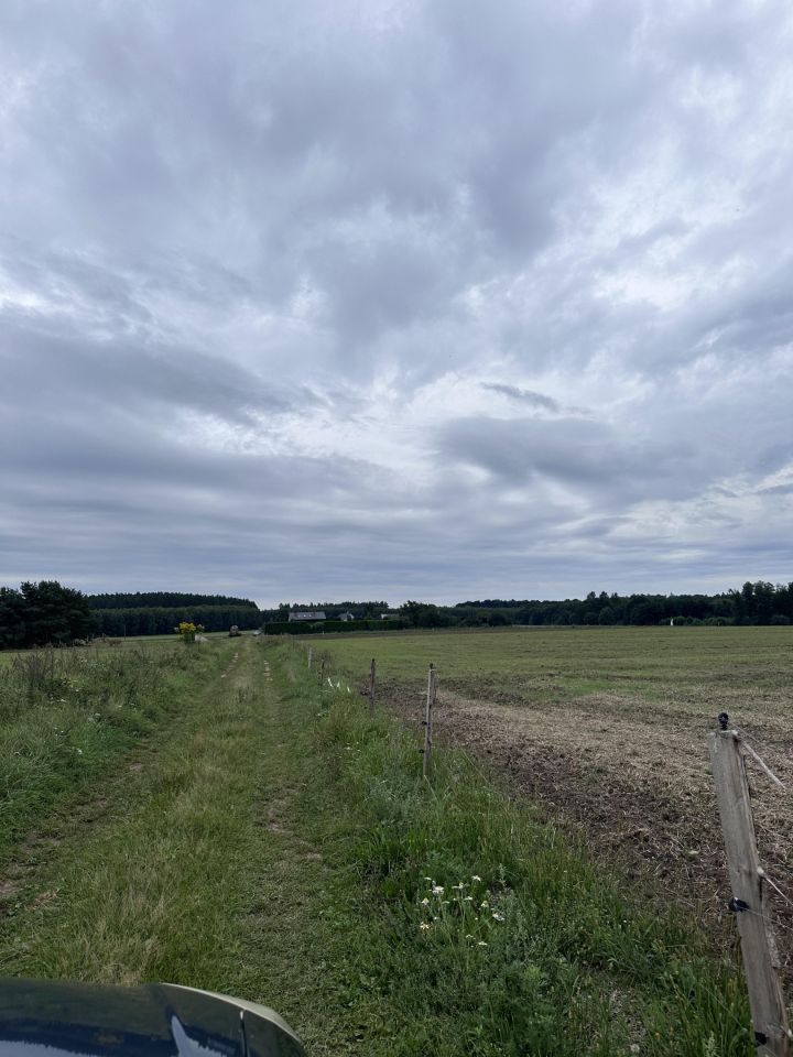 Działka leśna Łętowo. Zdjęcie 6