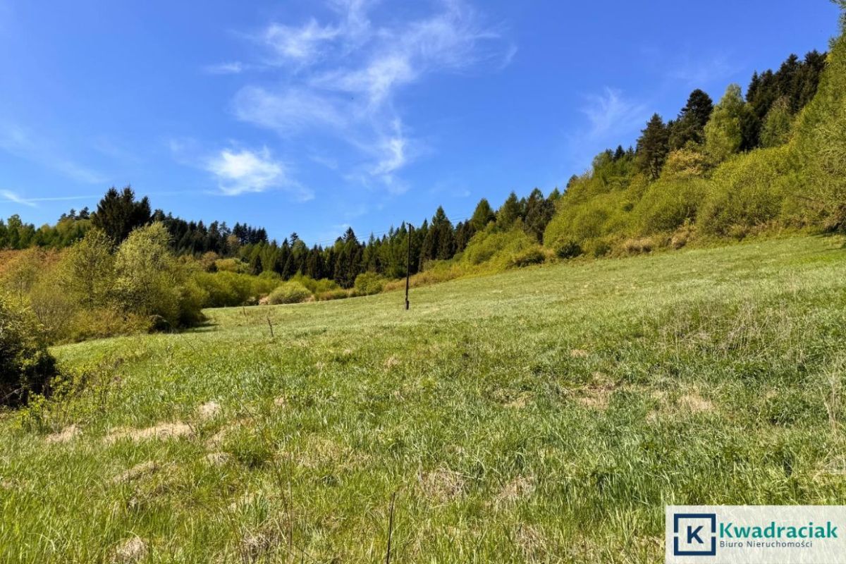 Działka rolna Hoszów. Zdjęcie 7