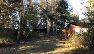 Działka rolno-budowlana Trzcianka Brzezina