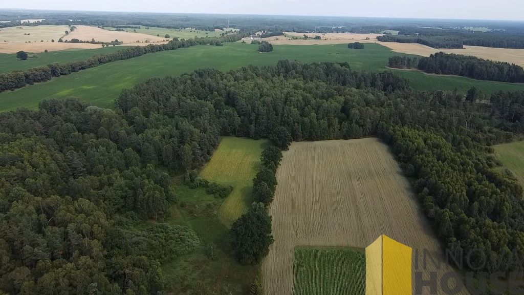 Działka leśna Pasieka. Zdjęcie 7