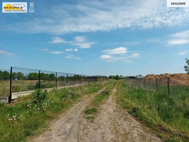 Działka budowlana Gościno, ul. Kolejowa. Zdjęcie 9