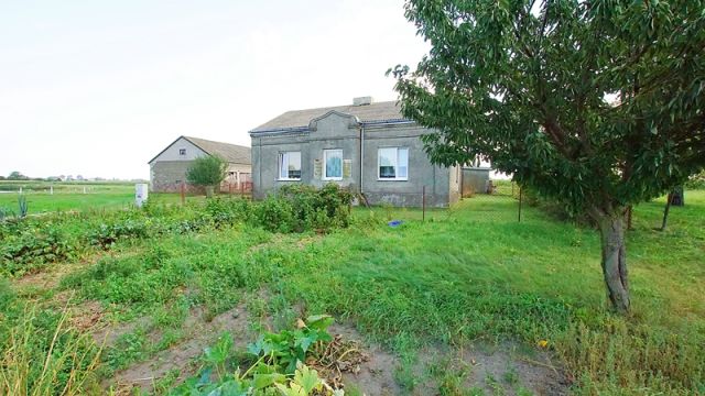 gospodarstwo Zbójno. Zdjęcie 2