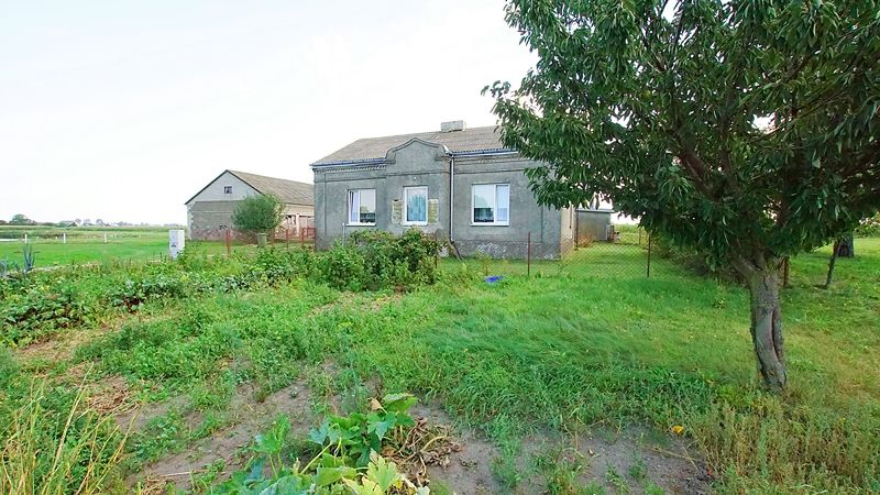 gospodarstwo Zbójno. Zdjęcie 2