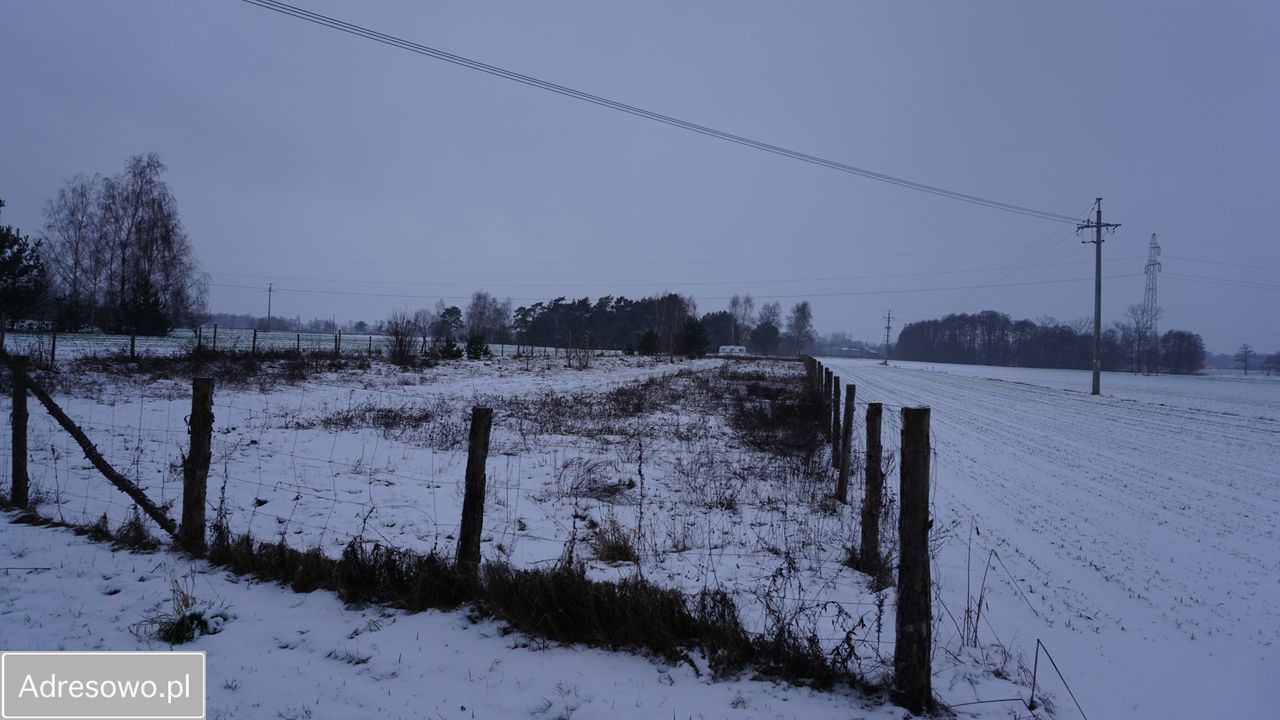 Działka budowlana Barłogi. Zdjęcie 11