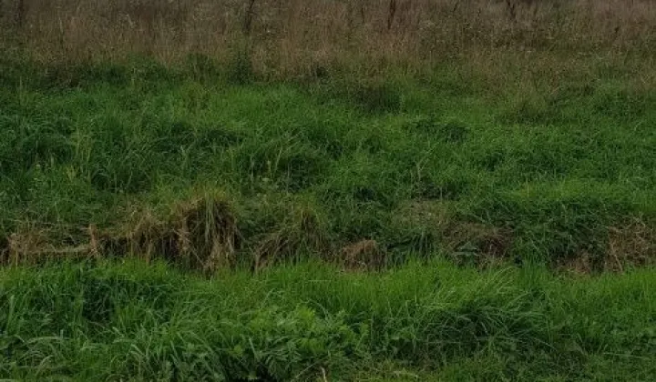 Działka budowlana Niedźwiedź