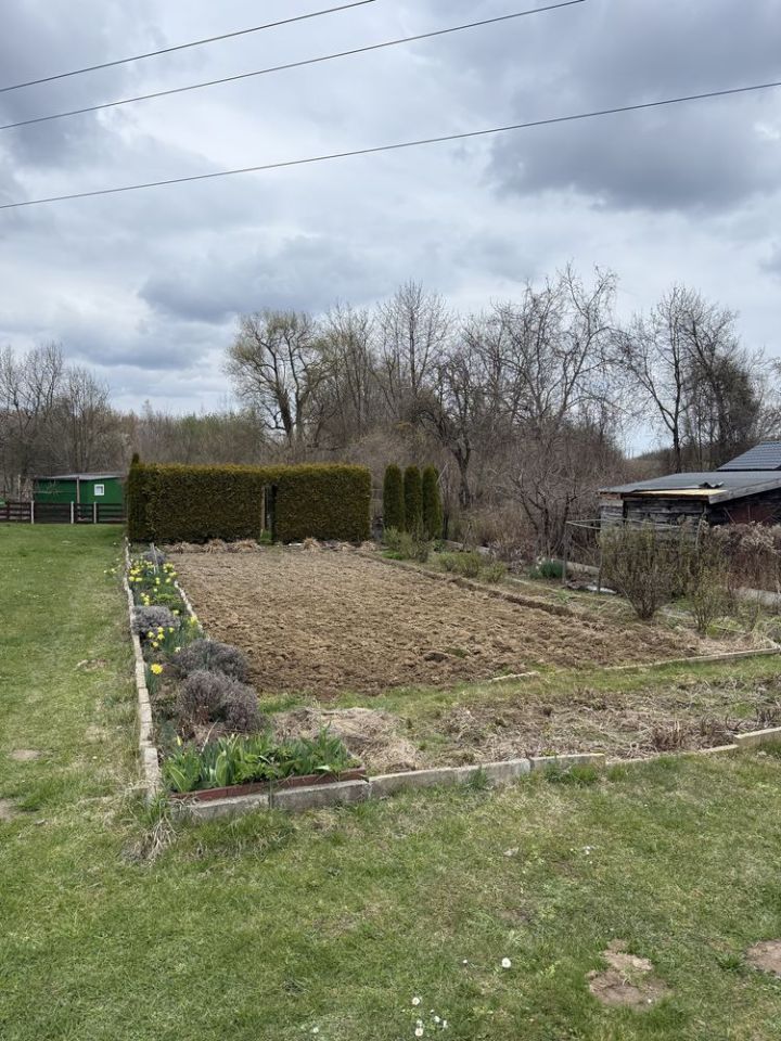 Działka rod Przysucha. Zdjęcie 7