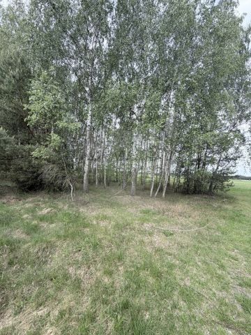 Działka rolno-budowlana Poręba-Kocęby. Zdjęcie 2