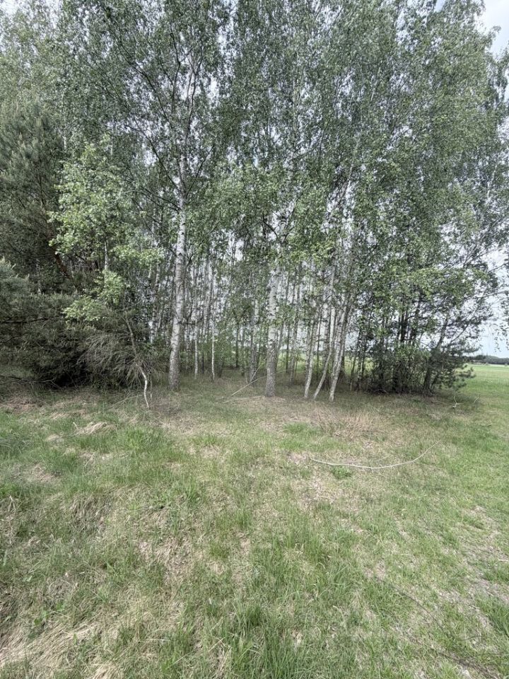 Działka rolno-budowlana Poręba-Kocęby. Zdjęcie 2