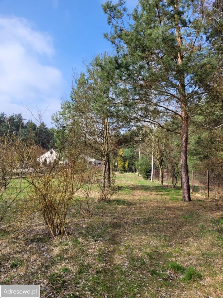 Działka budowlana Płachty. Zdjęcie 3