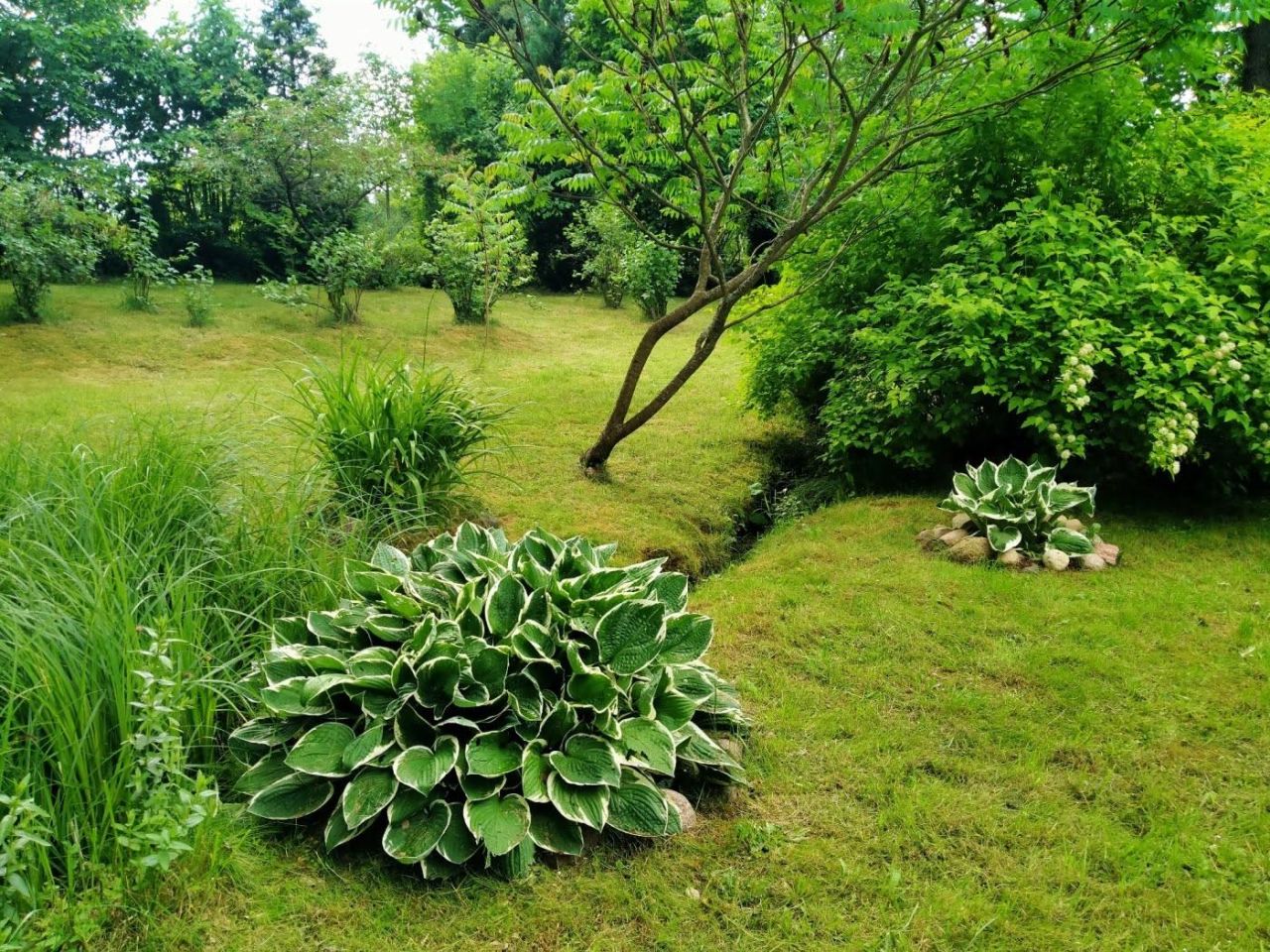 dom wolnostojący Łapalice, ul. Zamkowa. Zdjęcie 13