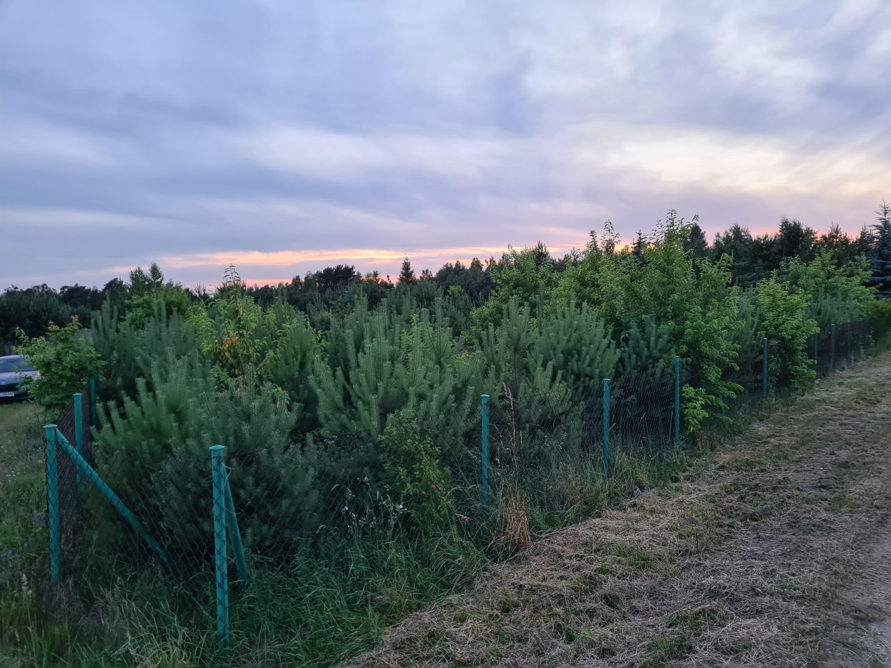 Działka rekreacyjna Lelewo. Zdjęcie 7