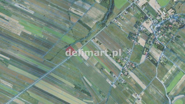 Działka rolna Jędruszkowce. Zdjęcie 13