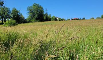 Działka budowlana Międzyrzecze Górne