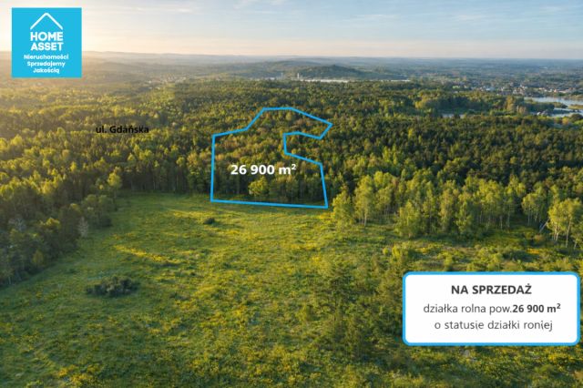 Działka rolna Bieszkowice. Zdjęcie 3