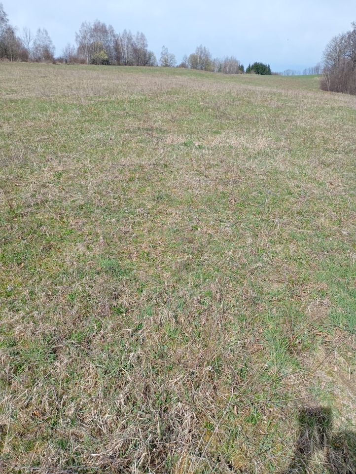 Działka rolna Radomice. Zdjęcie 2