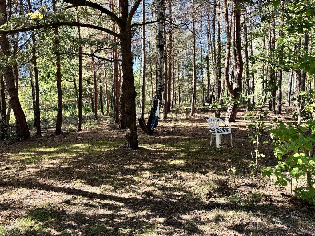 Działka Jeziórko. Zdjęcie 5
