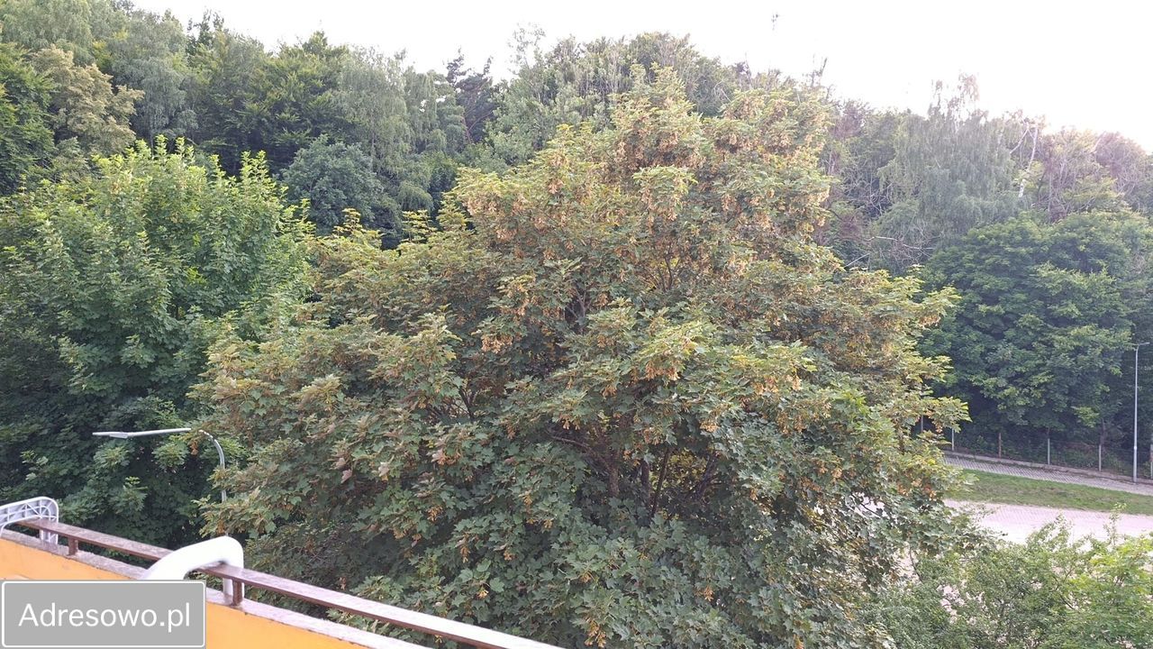 Mieszkanie 3-pokojowe Wejherowo, ul. Harcerska. Zdjęcie 14