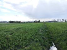 Działka rolno-budowlana Karniewo, ul. Jesionowa. Zdjęcie 4