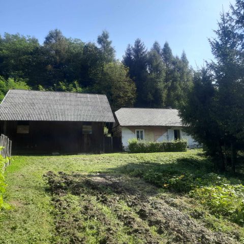 siedlisko, 2 pokoje Łubno. Zdjęcie 1