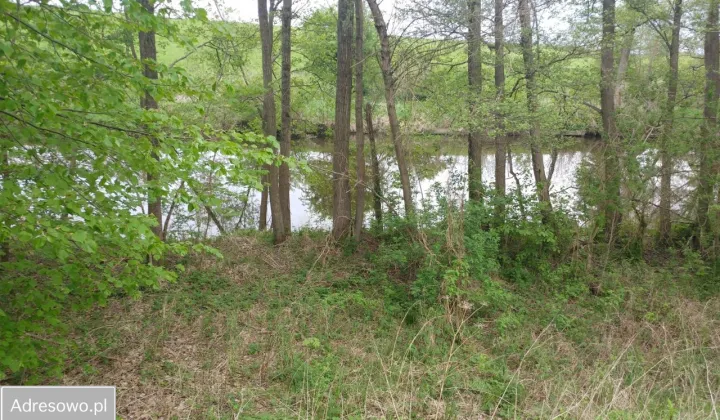 Działka rolna Miłomłyn, ul. Iławska