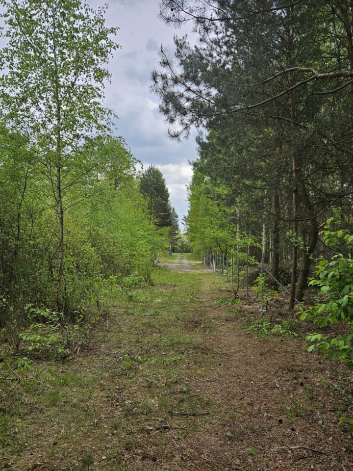 Działka rolno-budowlana Radziwiłłów, ul. Kota Filemona. Zdjęcie 3
