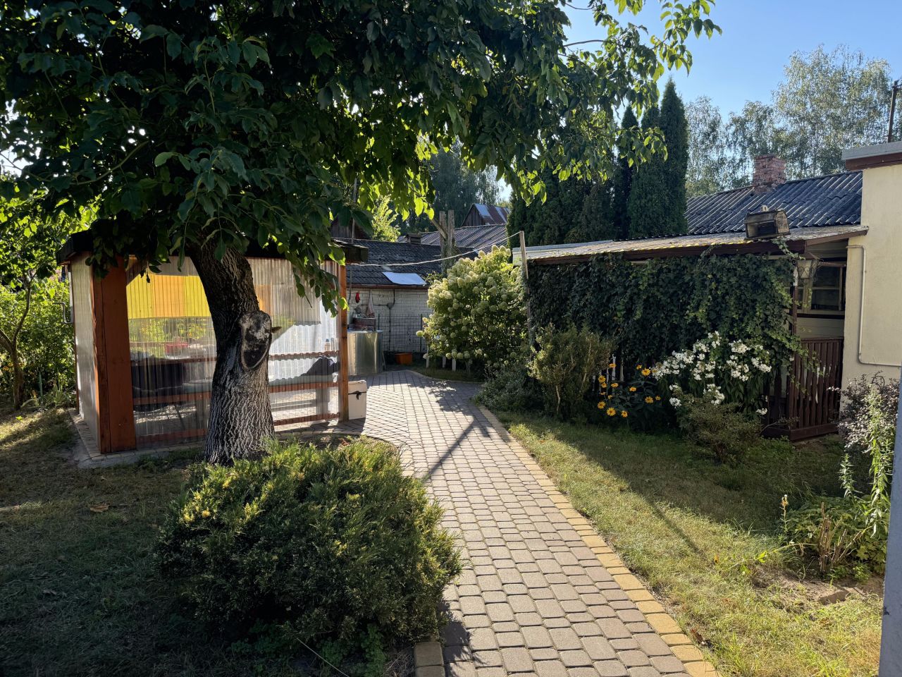 Działka siedliskowa Zieleniec. Zdjęcie 13