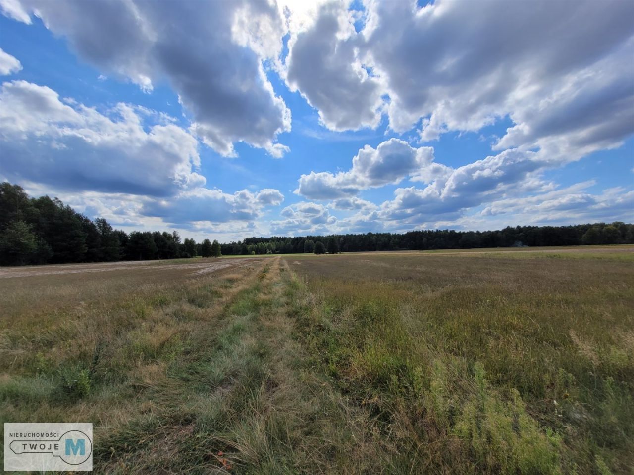 Działka rekreacyjna Kluczewsko. Zdjęcie 8