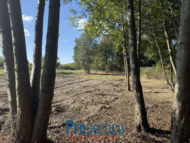 Działka budowlana Nowa Wieś, ul. Wandy. Zdjęcie 6