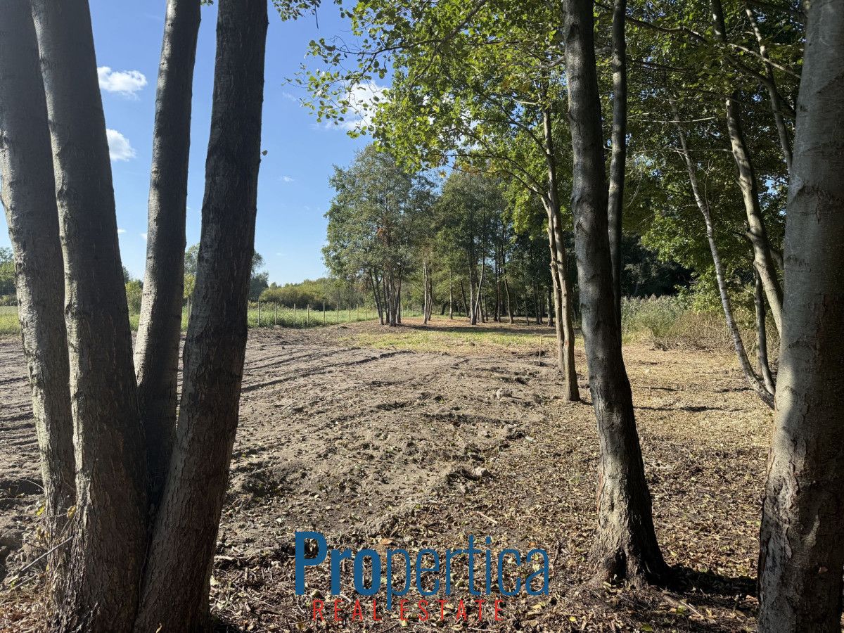 Działka budowlana Nowa Wieś, ul. Wandy. Zdjęcie 6