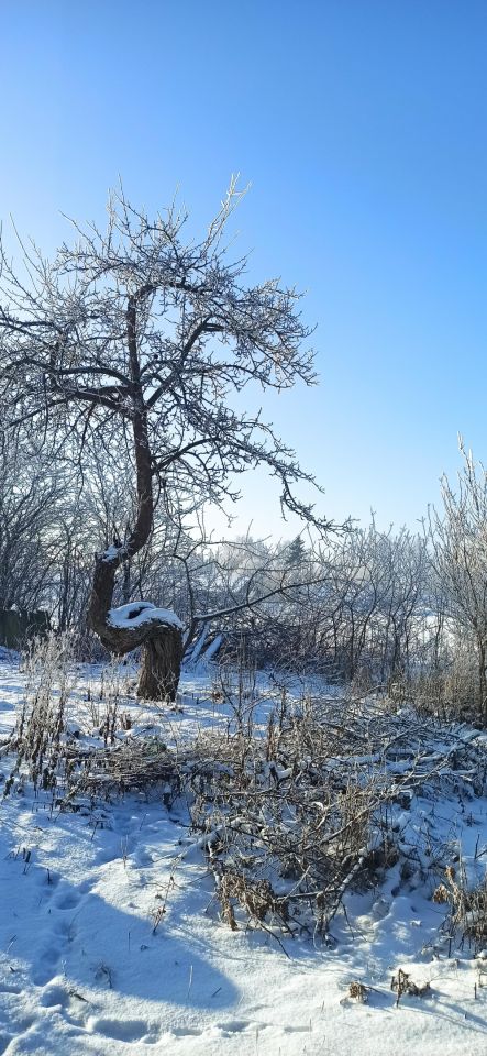 siedlisko, 3 pokoje Wojciechy, Wojciechy. Zdjęcie 18