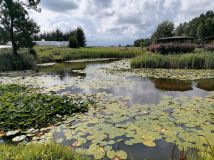 Działka rolna Blanki. Zdjęcie 3