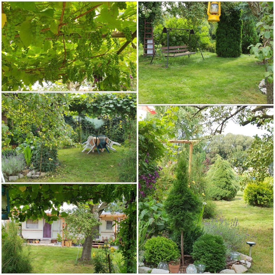 Działka budowlana Zarośle. Zdjęcie 3