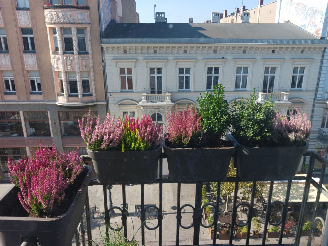 Mieszkanie 4-pokojowe Łódź Śródmieście, ul. Piotrkowska. Zdjęcie 5